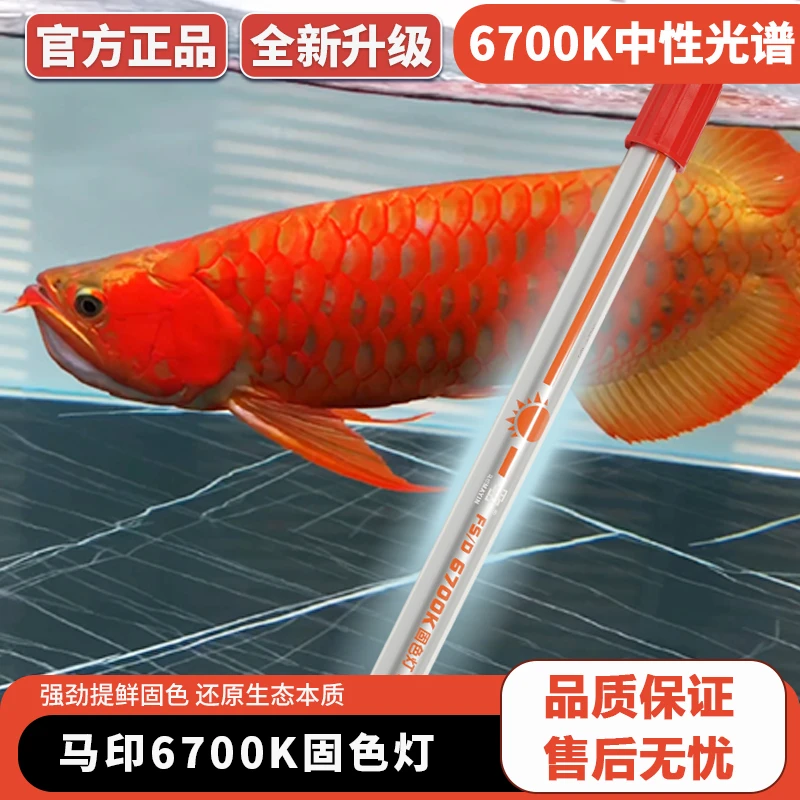 马印灯龙鱼发色灯专用烤色灯nec鱼缸灯三基色灯管T5潜水灯全光谱