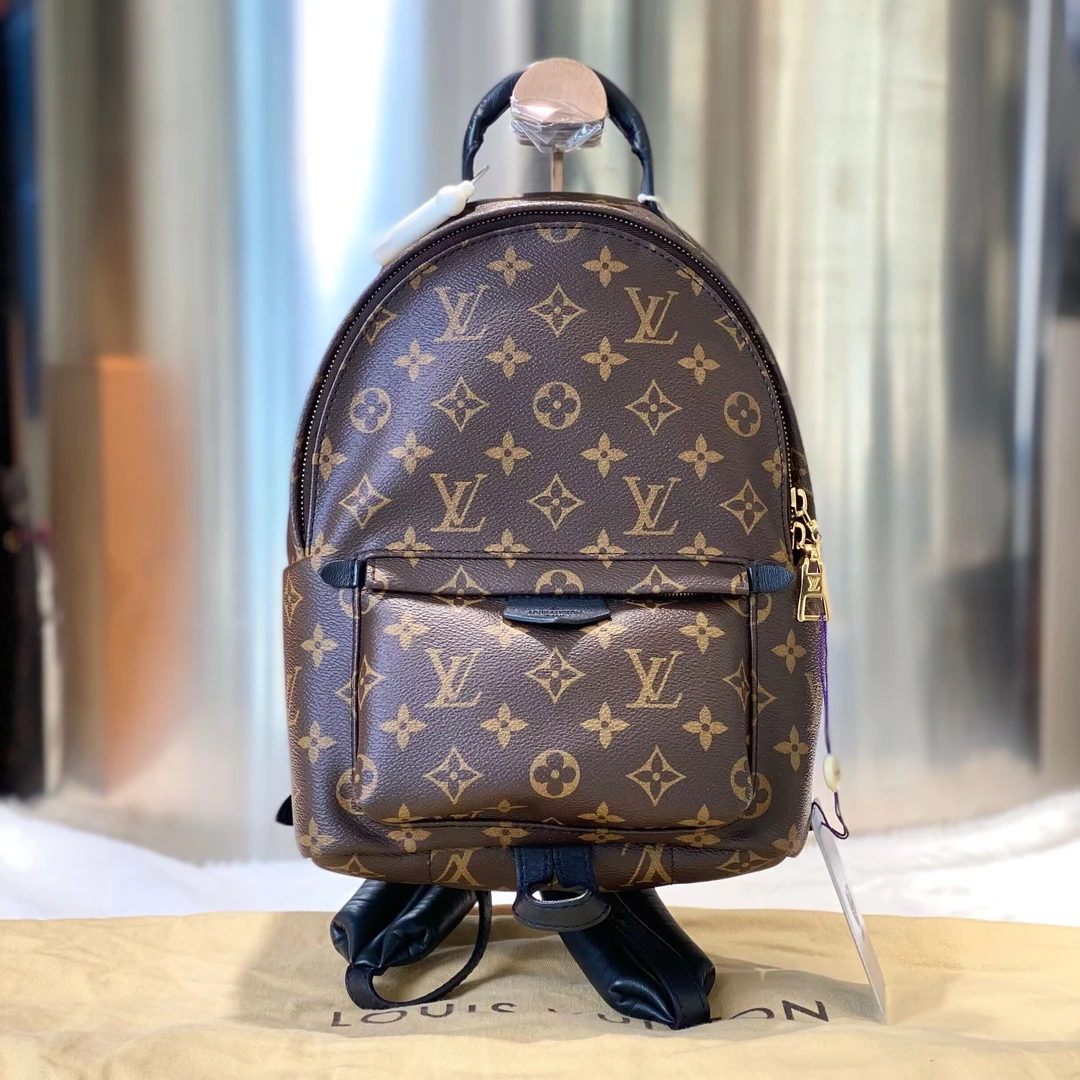 99新 LouisVuitton/路易威登 古有98新LV老花双肩包小号包8815