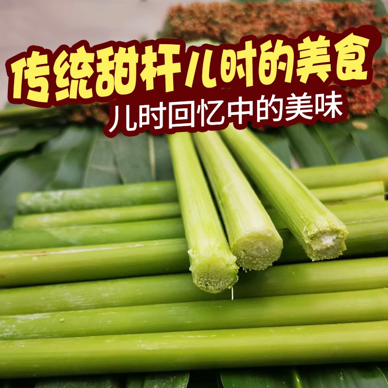 甜高粱种子春季四季北方甜杆秸子甜棒小甘蔗种甜芦稷种籽水果种