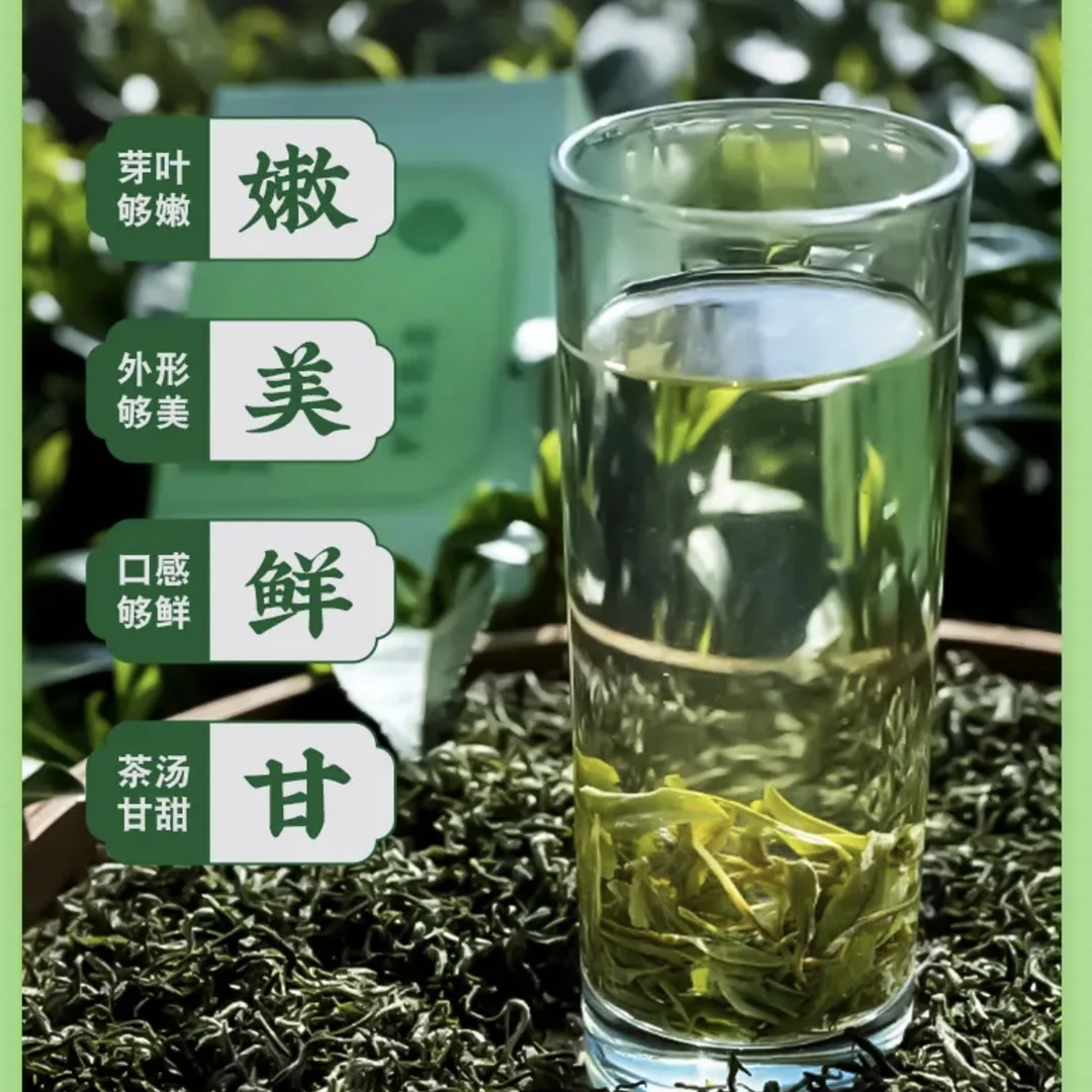 光明茶明前绿茶2024头春毛峰新茶绿茶浓香耐泡春茶炒青云雾茶叶