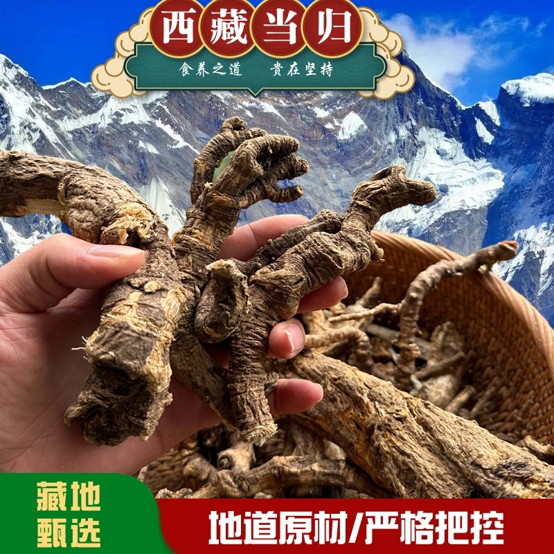 【西藏当归】西藏高原农家食用山货当归炖汤煮水滋补100g/250g/份