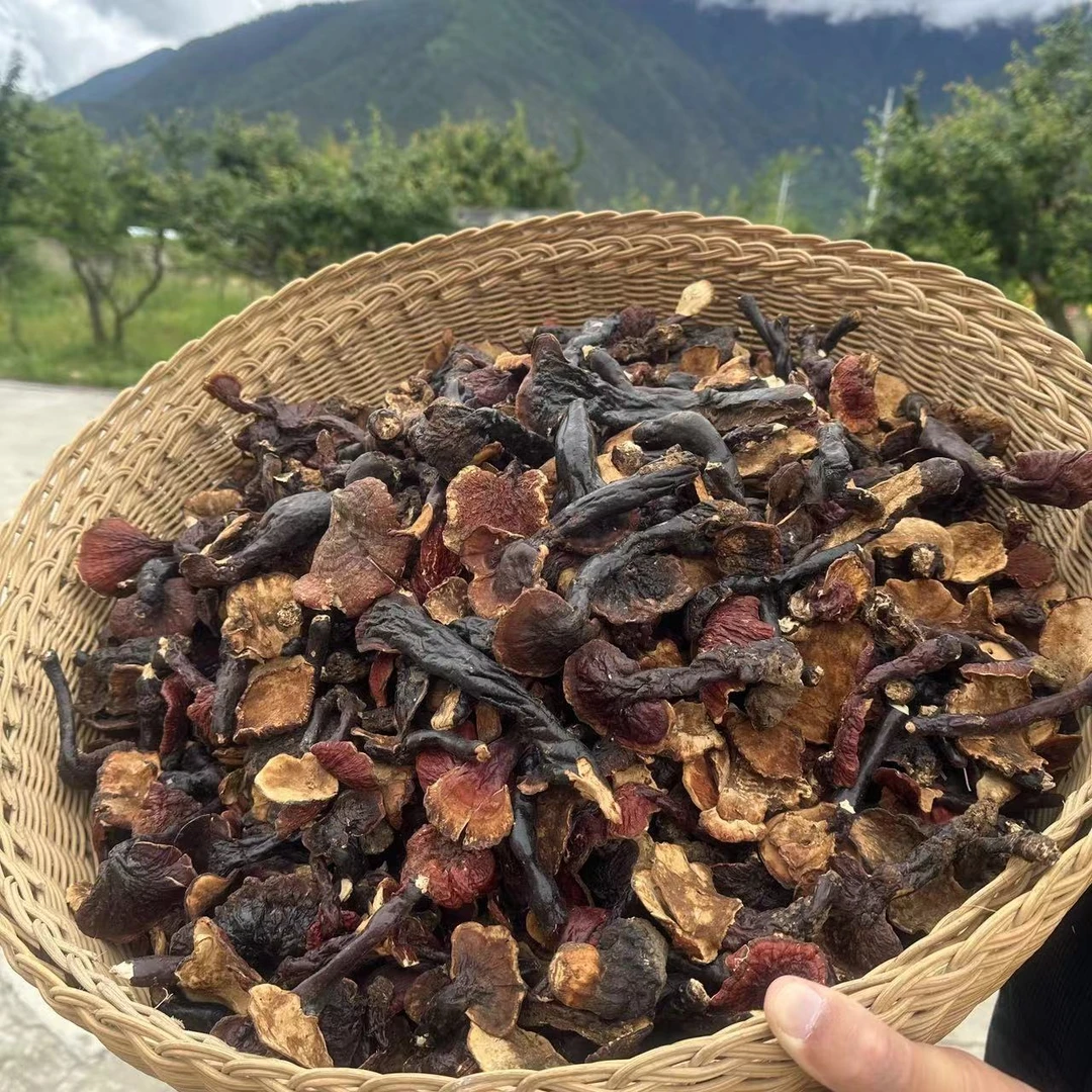 【白肉灵芝】西藏高原农家白肉灵芝煮水/煲汤/泡酒100g/200g/袋
