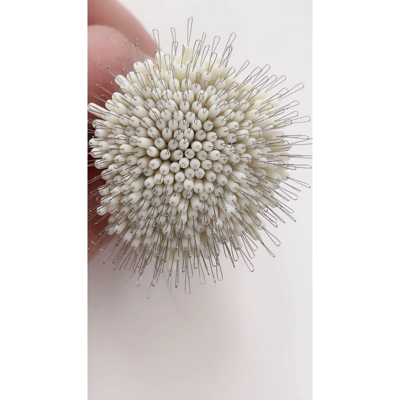 豆菇凉A竞技乳胶豆散根280+根