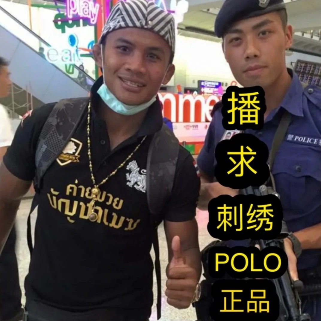 C0003 播求夏季男士短袖t恤棉高端刺绣翻领Polo衫半袖上衣男运动