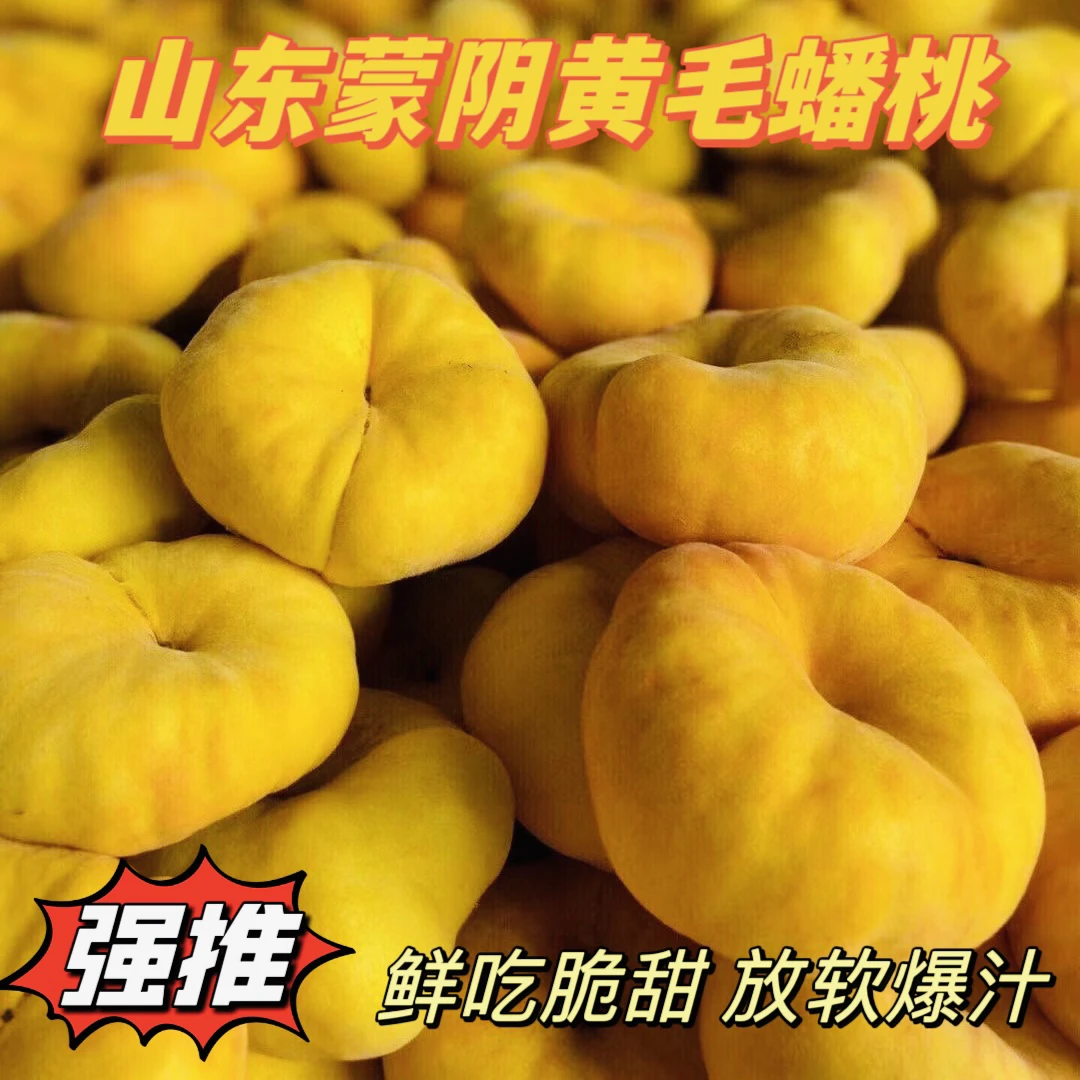 蒙阴黄金毛蟠桃4.5斤坏果包赔 现摘先发香甜多汁
