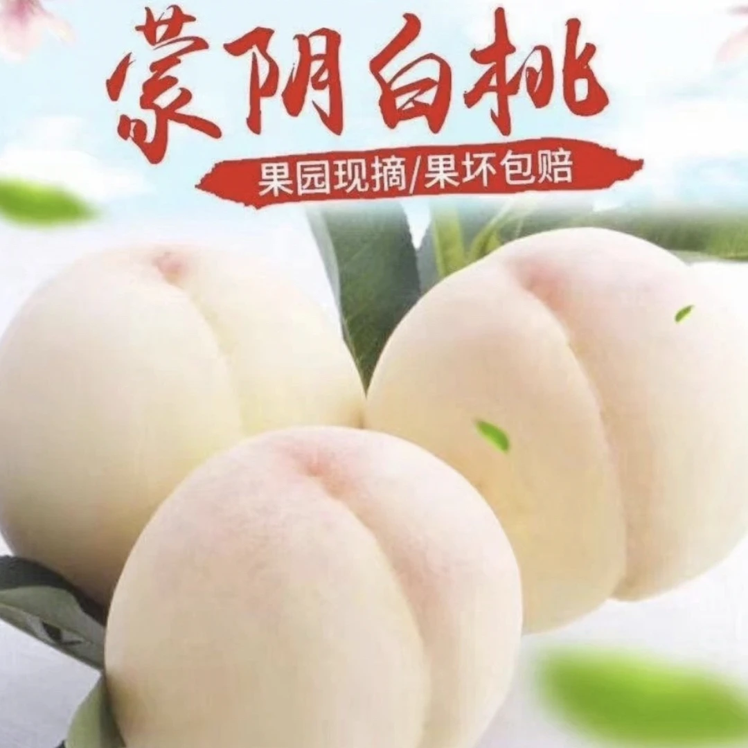【精品彩箱】蒙阴高端粉玉奶油白桃大果4.5-5斤脆甜可口坏果包赔