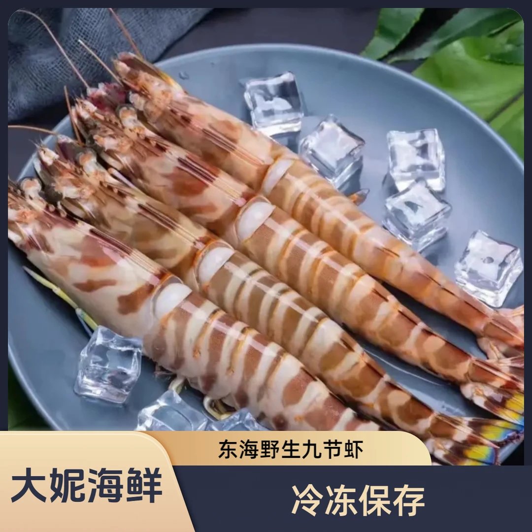 《大妮海鲜》东海野生九节虾  竹节虾 1500g