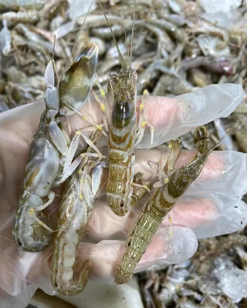 《大妮海鲜》东海野生海捕 叮当虾 嘎巴虾 夹板虾 拉尿虾 2000g