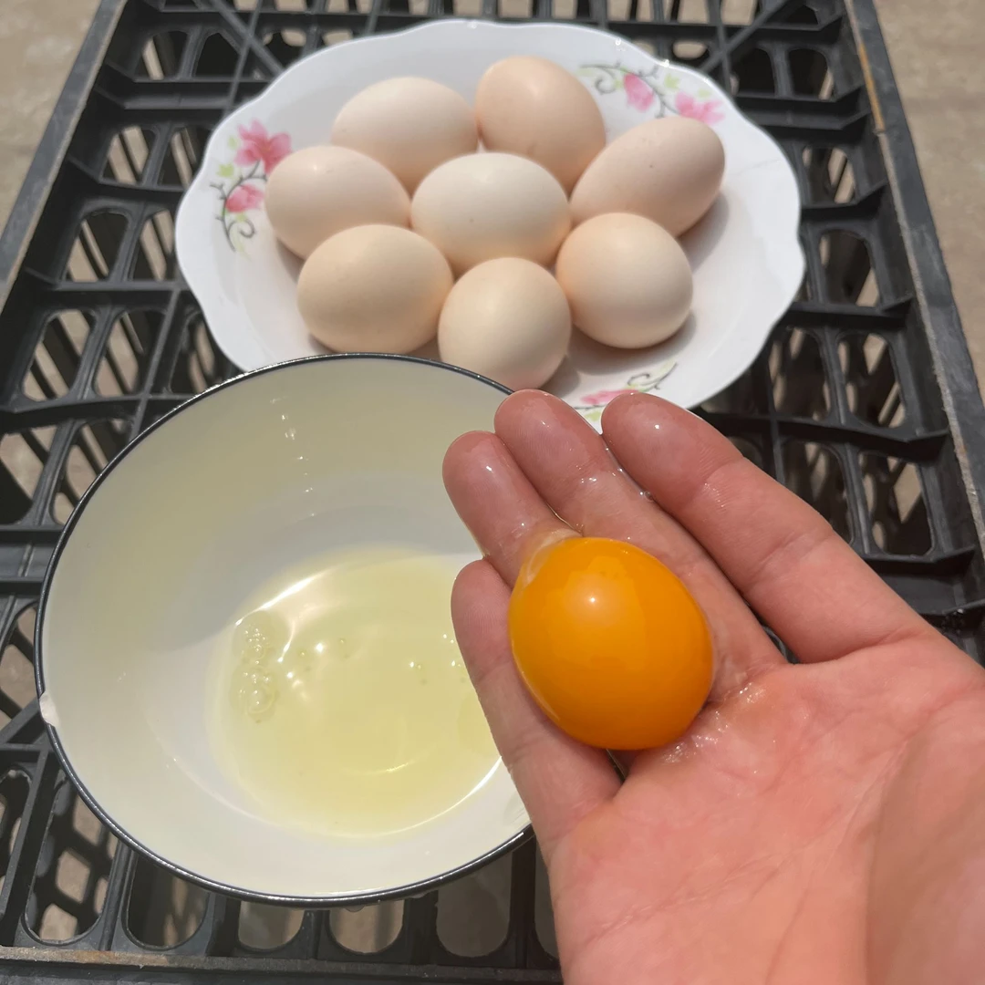 所见即所得的山里走地鸡的孩子营养价值丰富老少皆宜