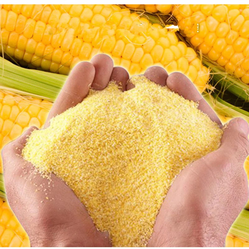 东北农家玉米面非转基因玉米面粥苞米面