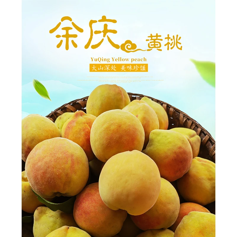 黄桃正宗贵州高山黄桃12枚/箱6/7斤左右时令鲜果果园直达产地