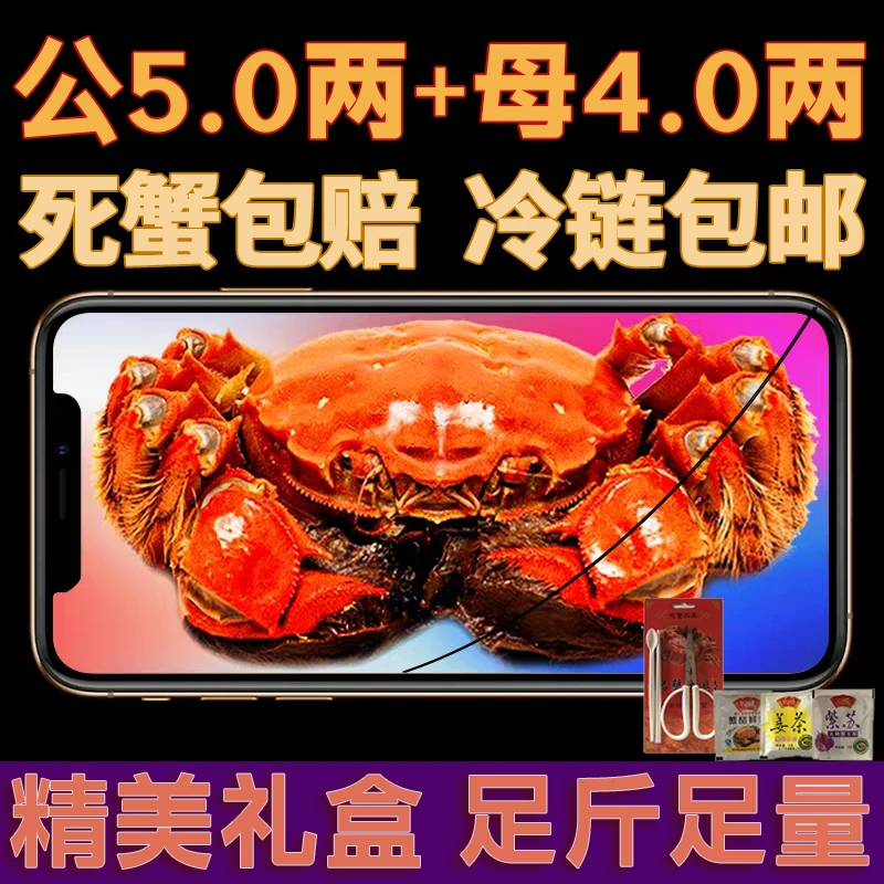 N【产地直发】5.0两大公蟹4只+4两大母蟹4只苏州精品大闸蟹鲜活螃蟹