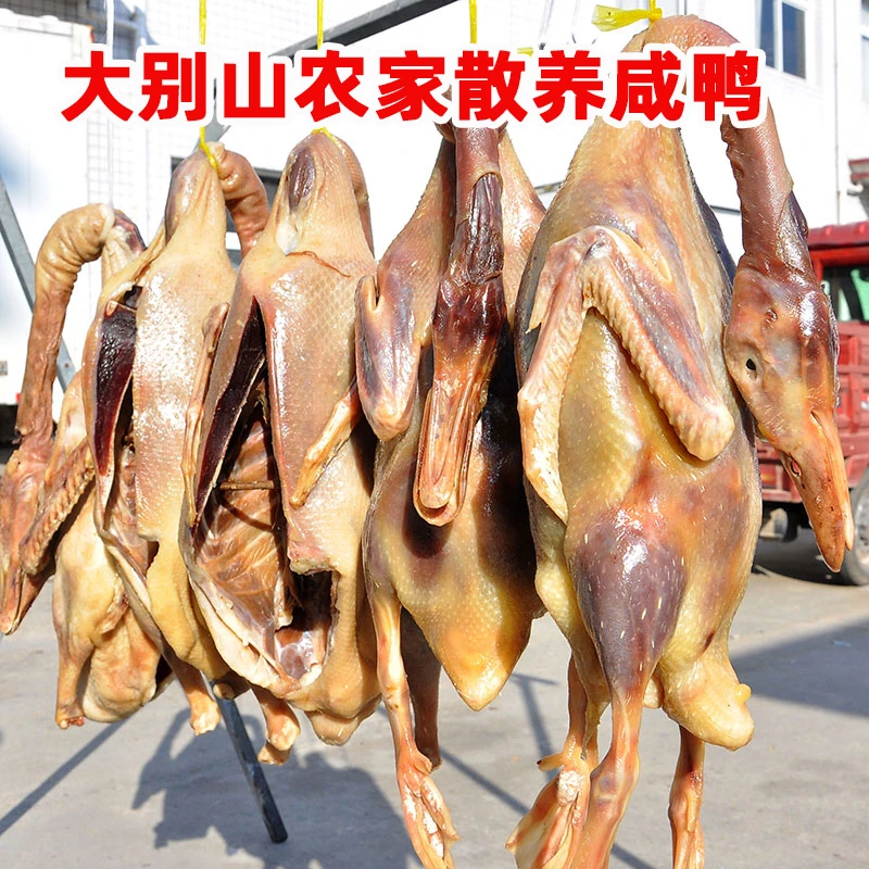 大别山农家特产散养咸鸭大白鸭