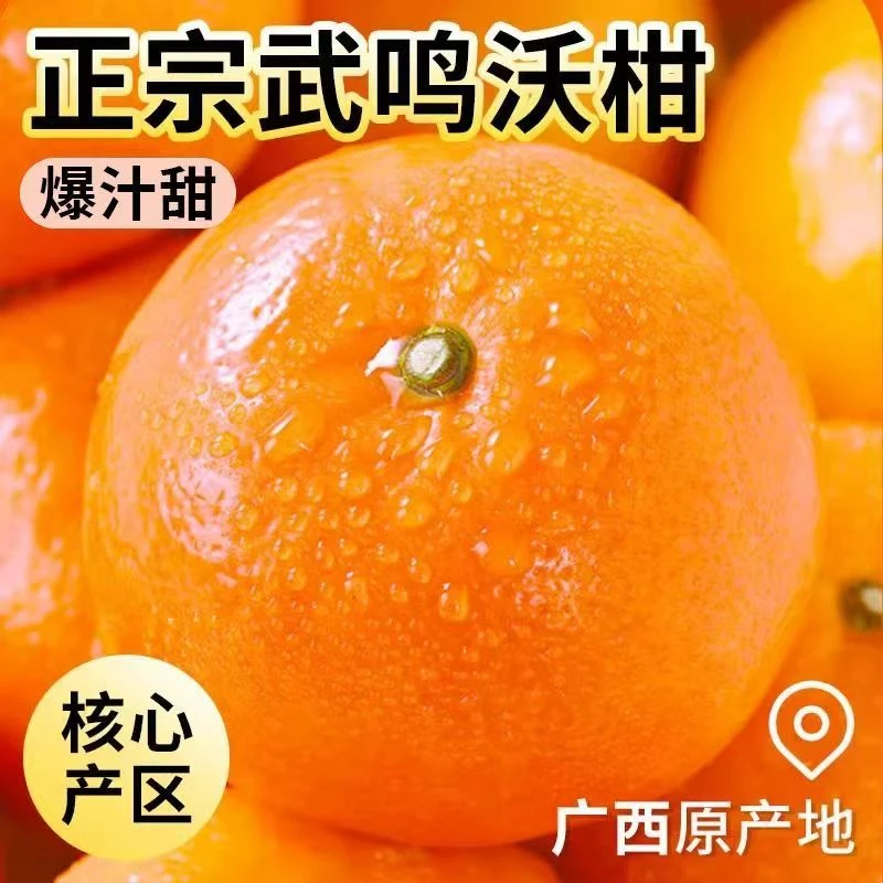 GL正宗广西武鸣沃柑5斤/8斤新鲜柑桔当季水果爆甜多汁