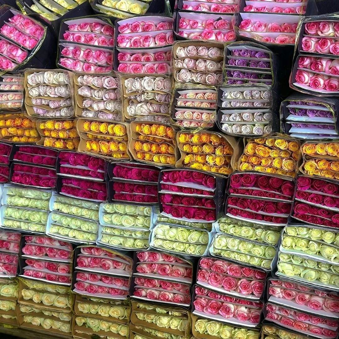 昆明鲜花批发玫瑰花鲜花全国发货