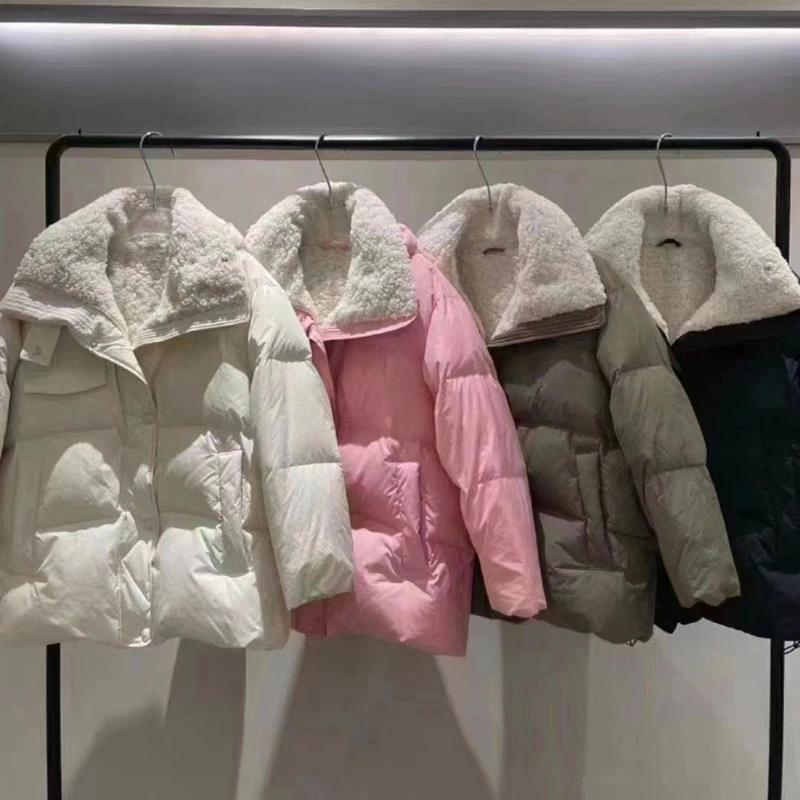 2024新款女士短款上衣服ZQ   1165