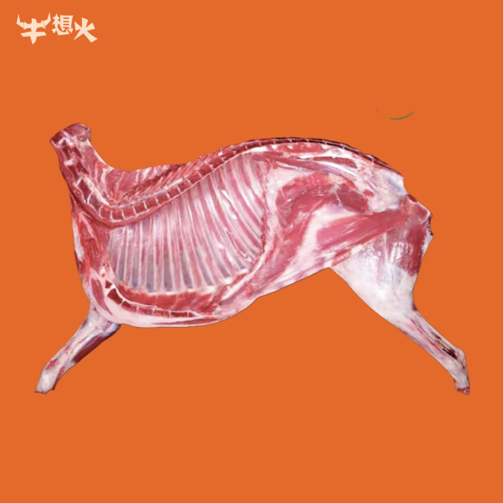 牛想火【现称现拍/整羊】新疆南疆散养羊整扇-50%腿排现宰新鲜1KG