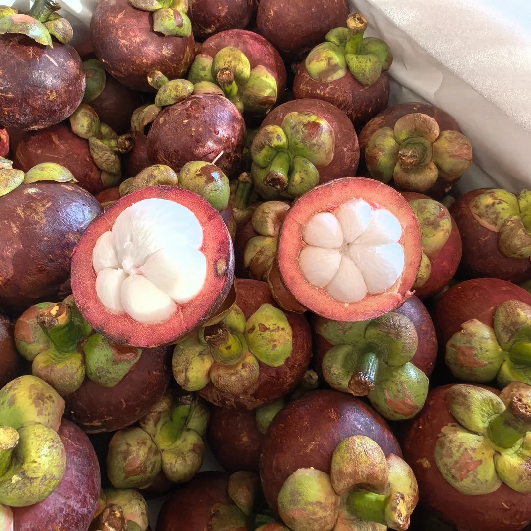 包邮发货6A泰国老树山竹 1.5Kg净重