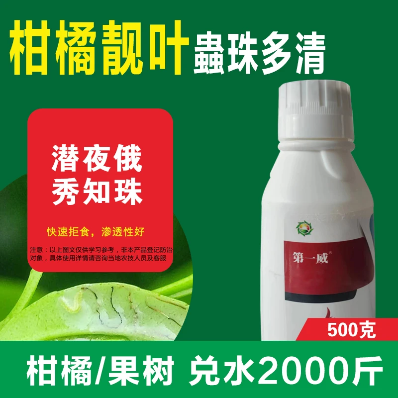 柑橘靓叶蟲珠多清植保农用助剂青橘柑橘果树油靓叶美果植株