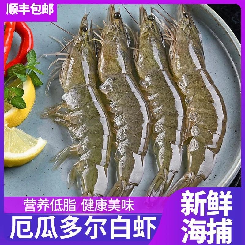 【顺丰包邮】新鲜盐冻厄瓜多尔白虾大号40/50鲜活冷冻青虾海鲜大虾