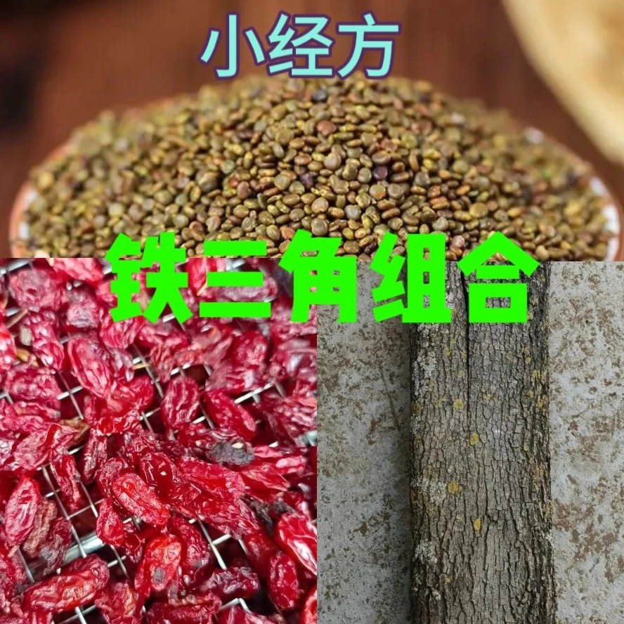 铁三角黄金打搭组合泡水煲汤煮水古人小经方