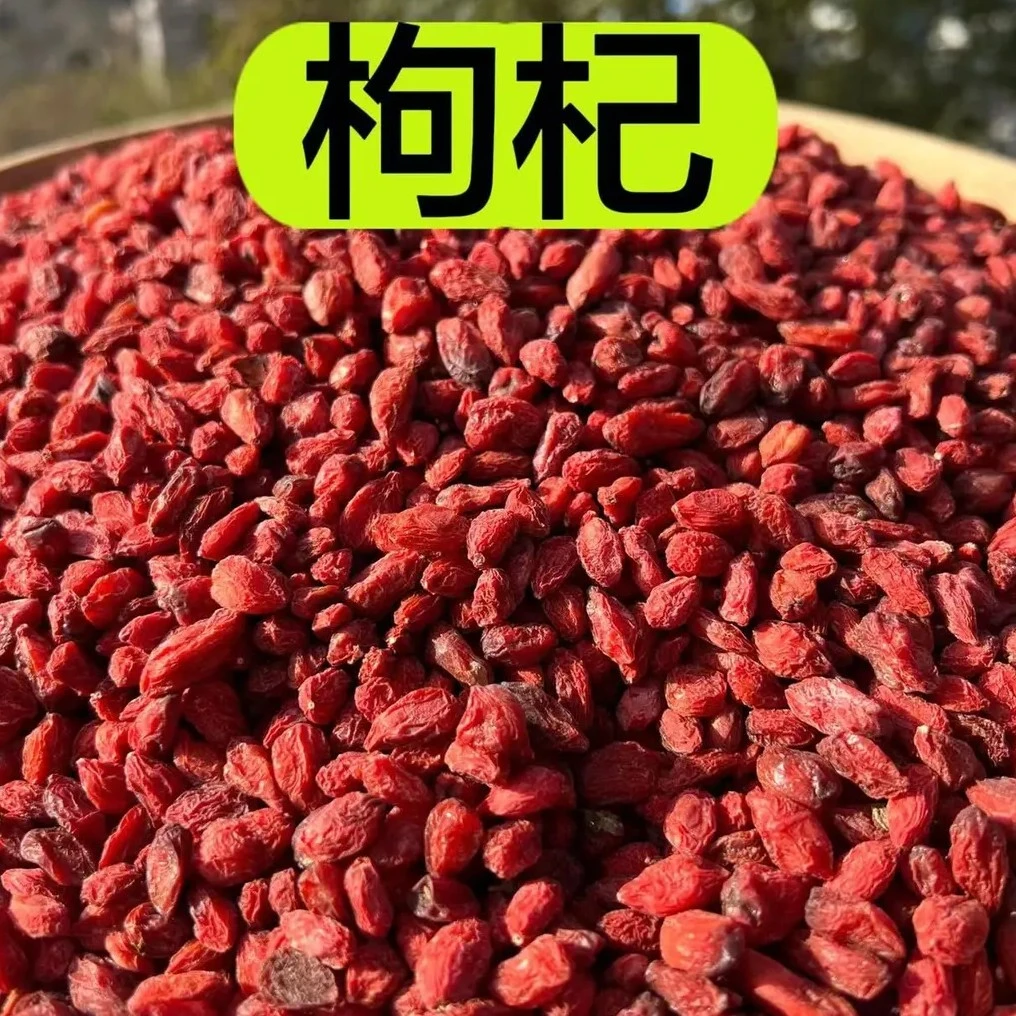 高山野枸杞无硫磺熏  自然晒干（250克）