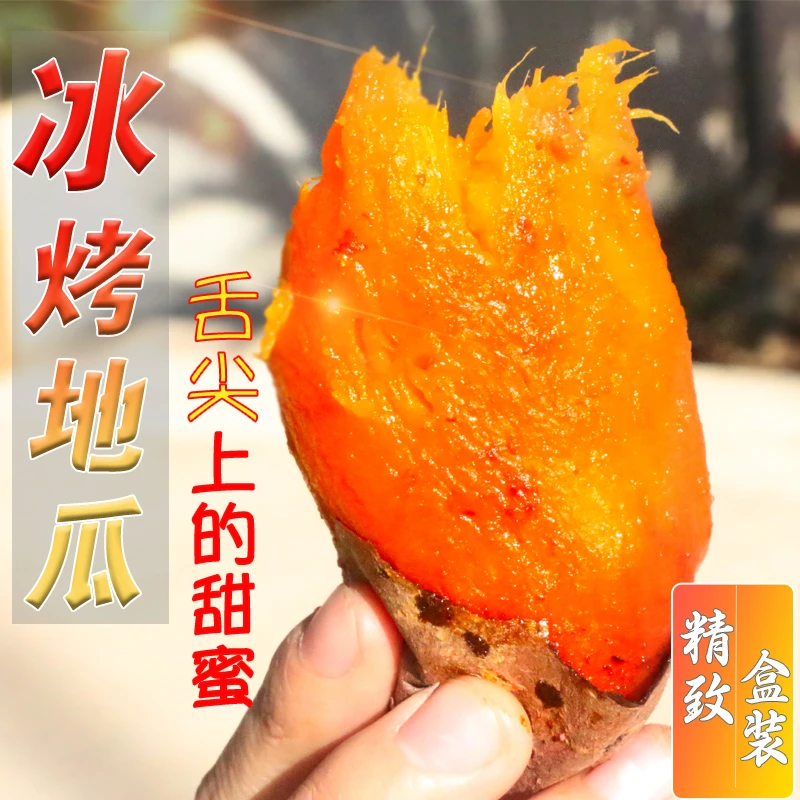 山东烟薯25号红薯蜜薯流油流蜜软糯香甜入口即化番薯现挖现发