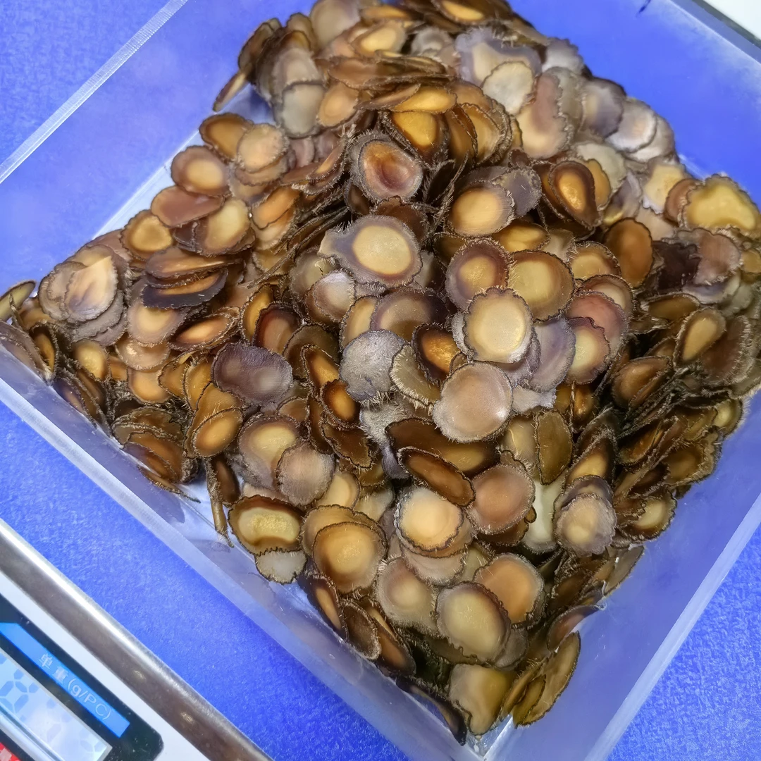 吉林鹿茸足干全腊片煲汤炖菜泡水养生滋补包邮
