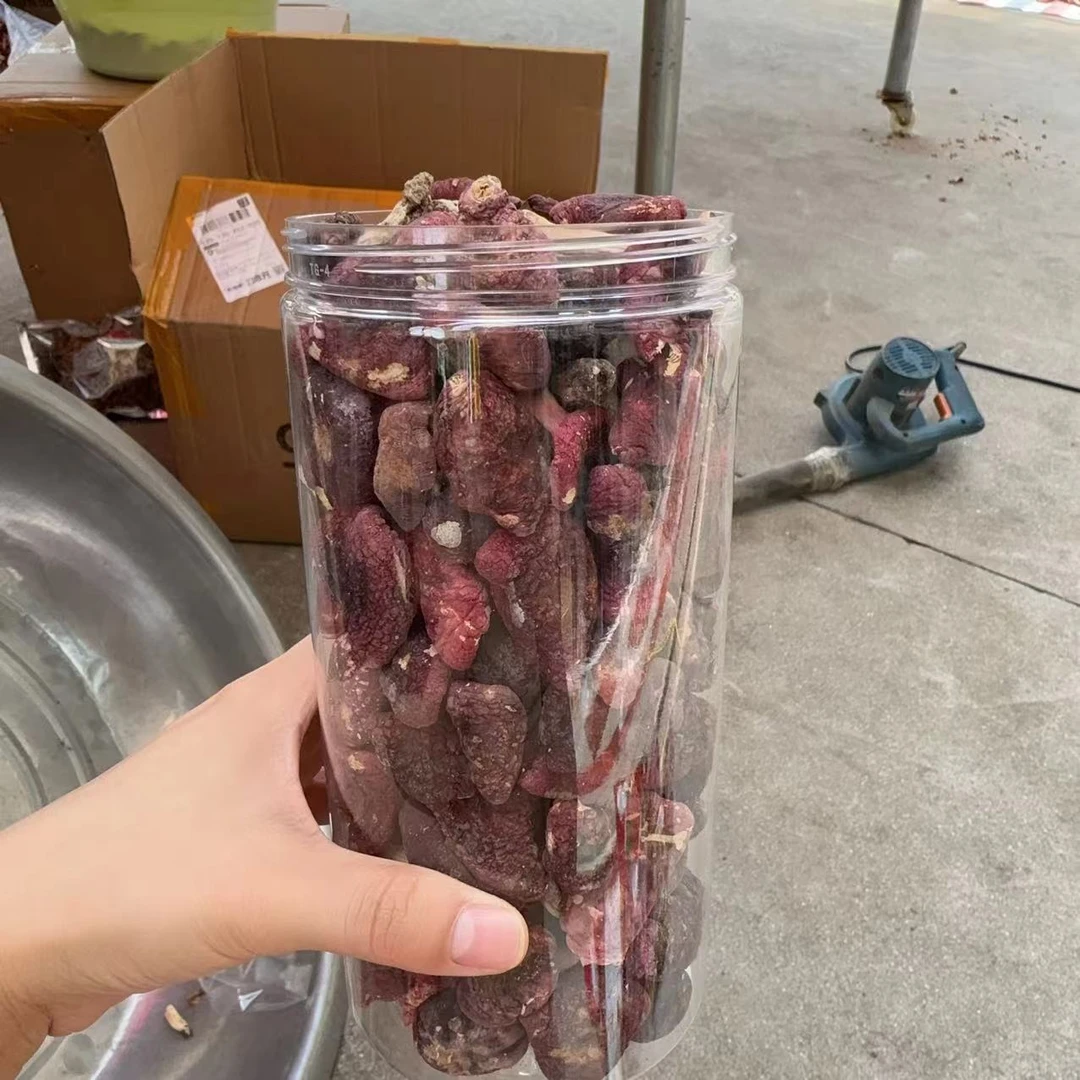 大菇蕾炖汤 河南野生红菇煮汤200g