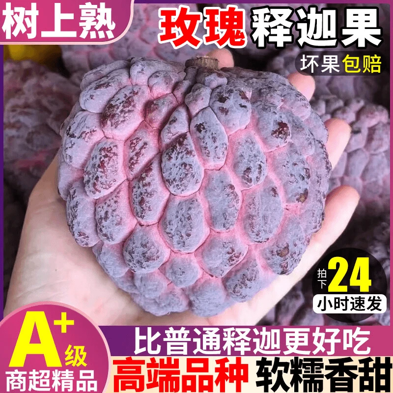 玫瑰佛头果紫红云南释迦果大番荔枝新鲜水果1/2/3/5斤释迦牟尼果