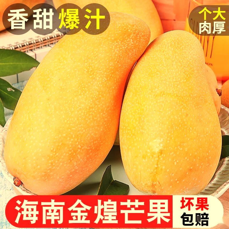 【坏果包赔】金煌芒果三亞原產地生熟快递送礼新鲜肉嫩成熟