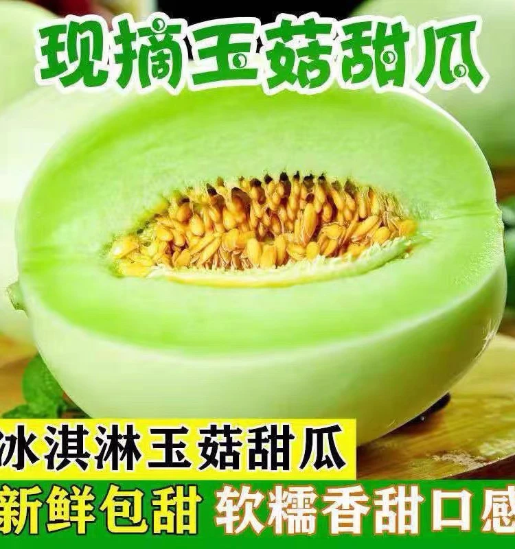 海南玉菇甜瓜新鲜热带水果香瓜蜜瓜哈蜜瓜甜瓜2/5/8斤