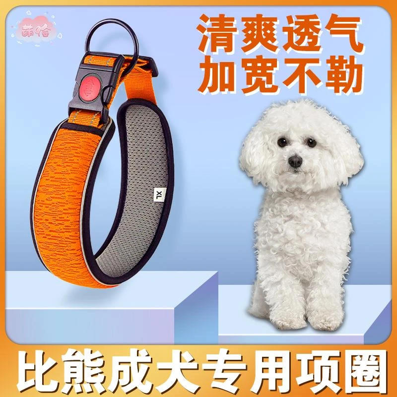 比熊专用项圈防爆冲小狗脖子脖套狗狗可牵引脖圈遛狗可调节防挣脱