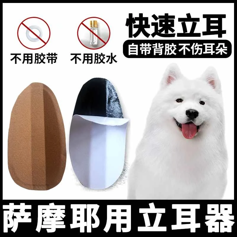 萨摩耶专用狗狗立耳器幼犬小狗神器辅助器耳朵夹子立耳珠矫正竖耳