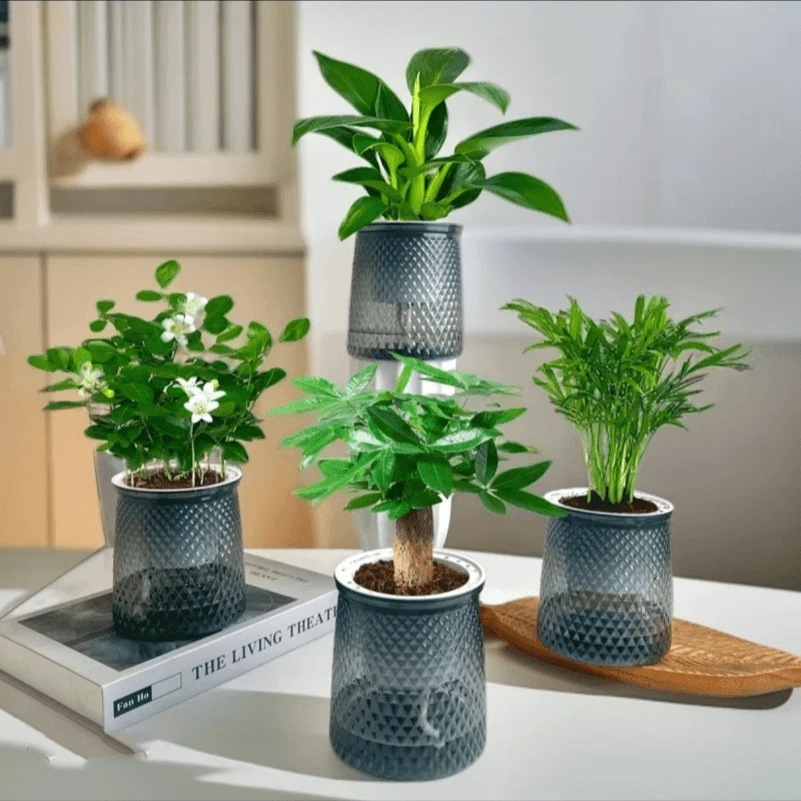 【买三送一】金钻发财树九里香花卉绿植物盆栽室内绿植盆栽室内