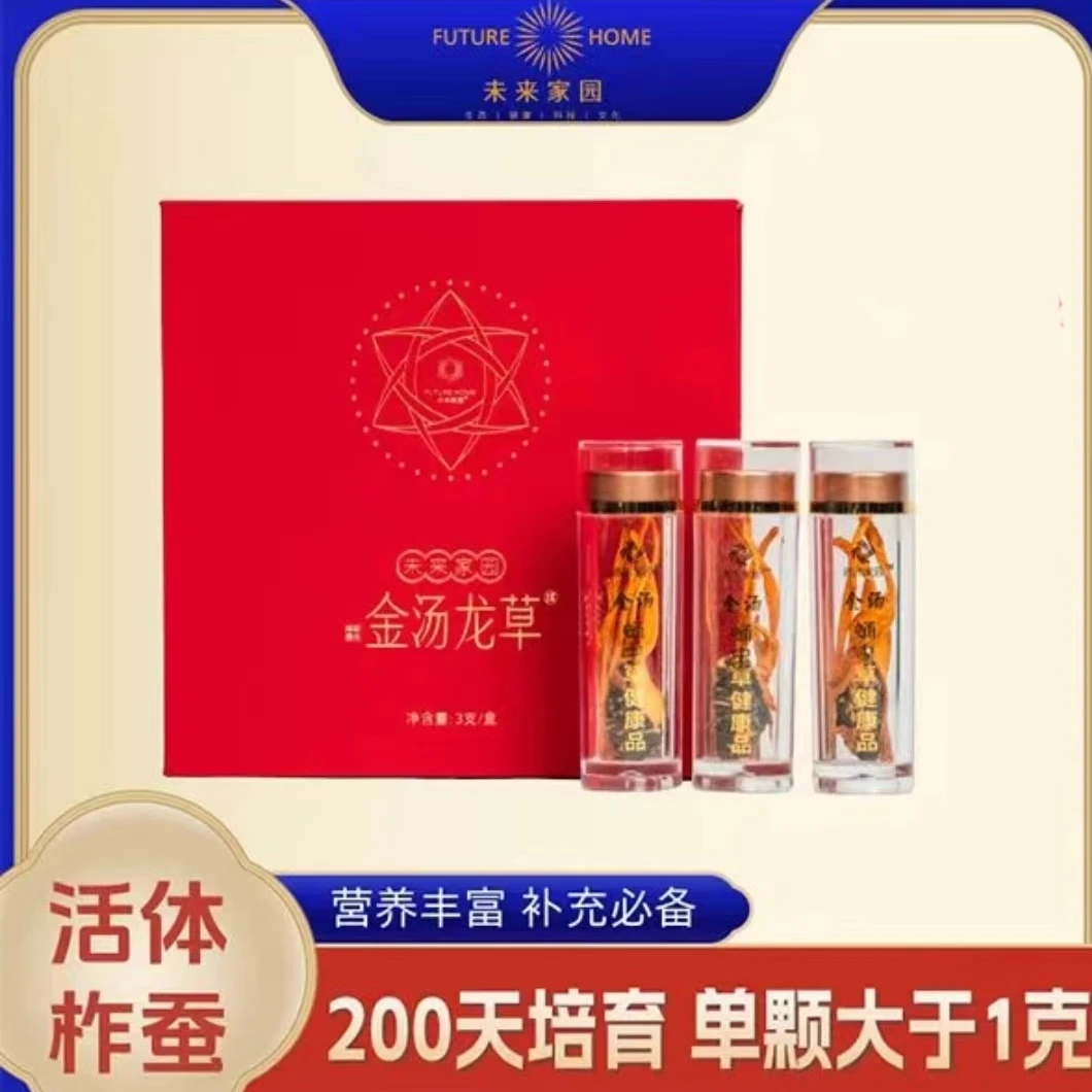 蛹虫草龙草金汤1盒
