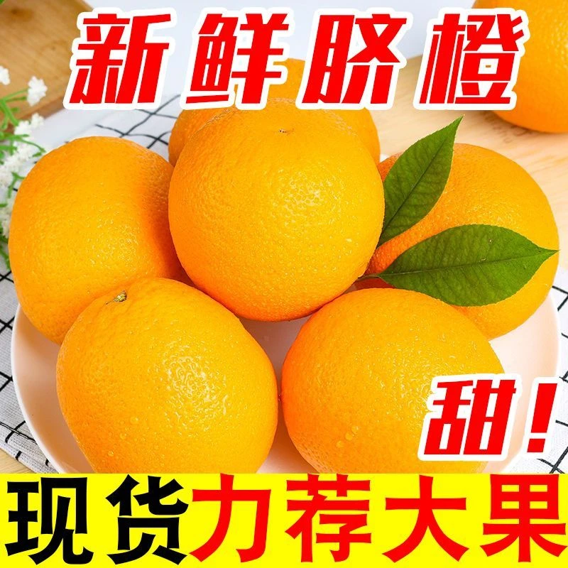 【超低价】新鲜脐橙子薄皮多汁现摘现发应季新鲜水果2/3/5/9斤包邮