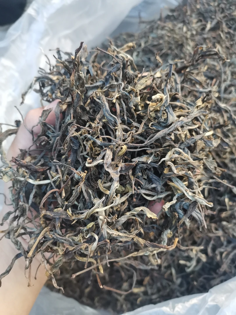 云南腾冲2023高黎贡山产区新华乡斗茶大赛一等奖普洱晒青茶