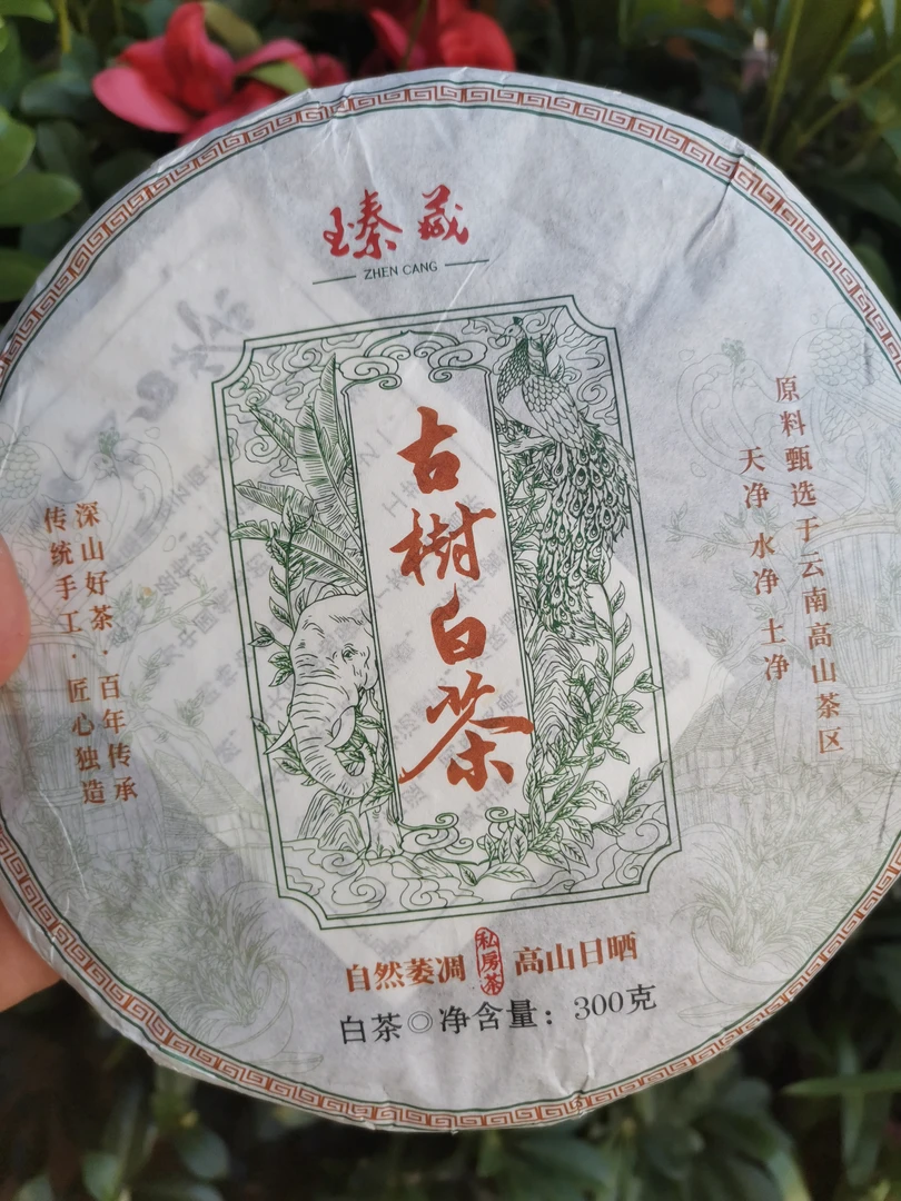 【小杨推荐】云南高山古树白茶饼（云寿）拍一提五片发六片