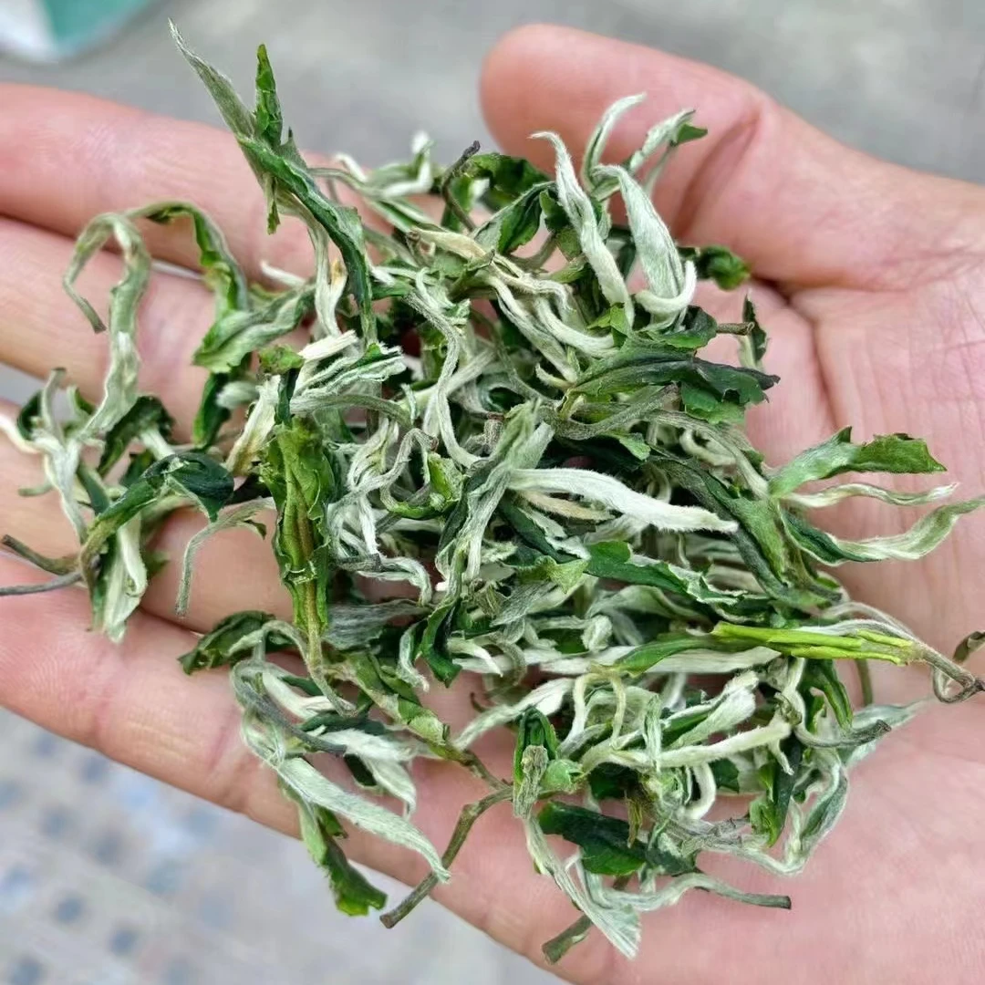 【小杨推荐】2025云南早春翠茗绿茶-鲜香