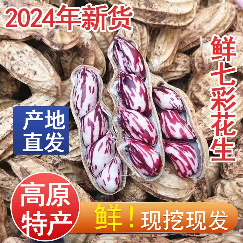 七彩花生/鲜花生/生花生1斤