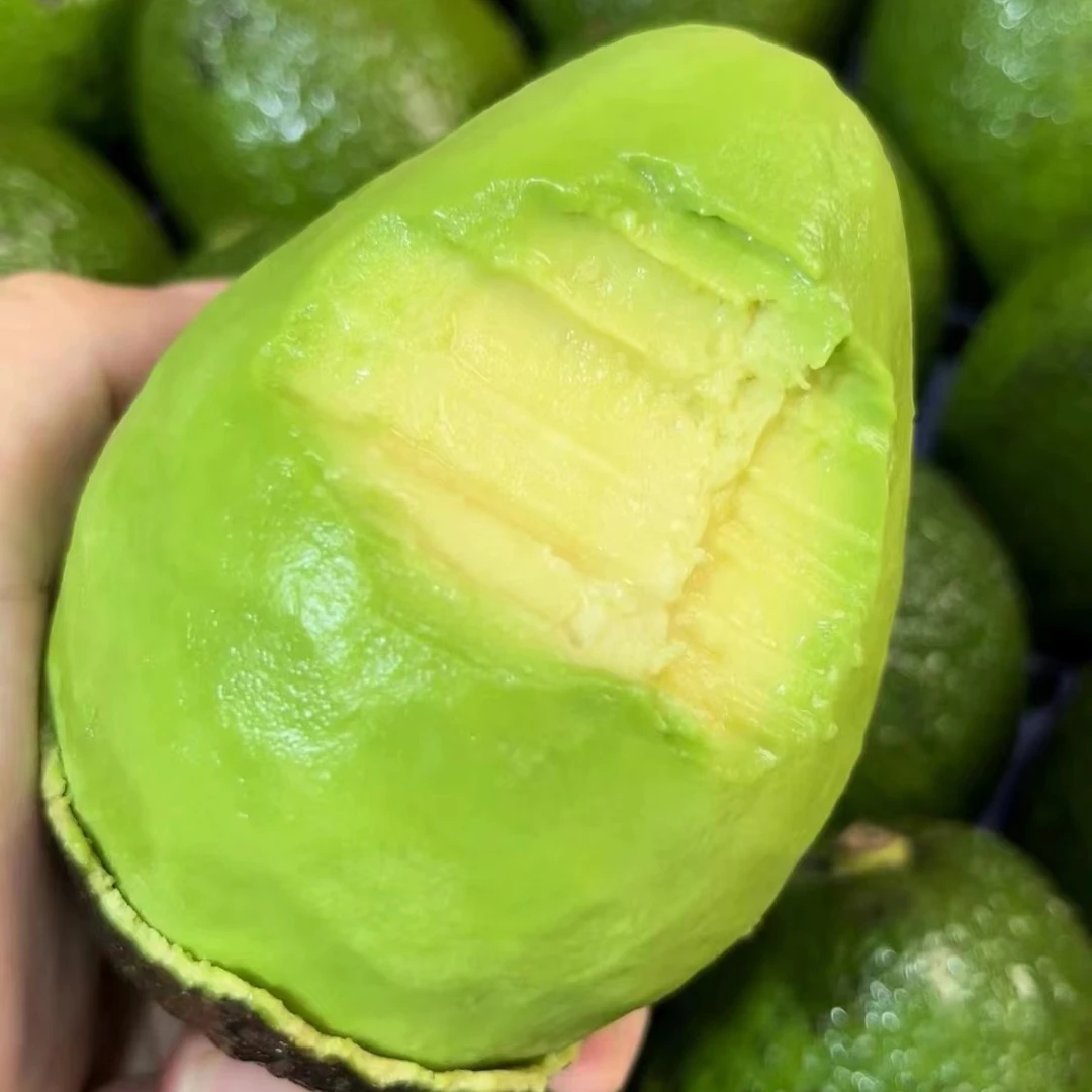 牛油果4个约800克