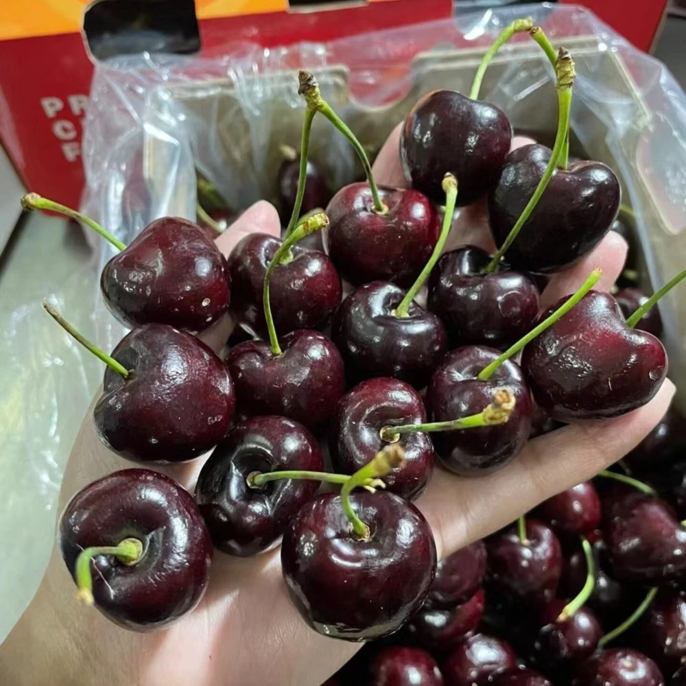 【智利空运礼盒】车厘子/樱桃3斤礼盒/1斤盒装 内附果径卡