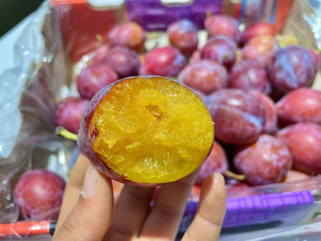 礼盒纯甜新疆法兰西西梅1斤/盒4.5斤礼盒装