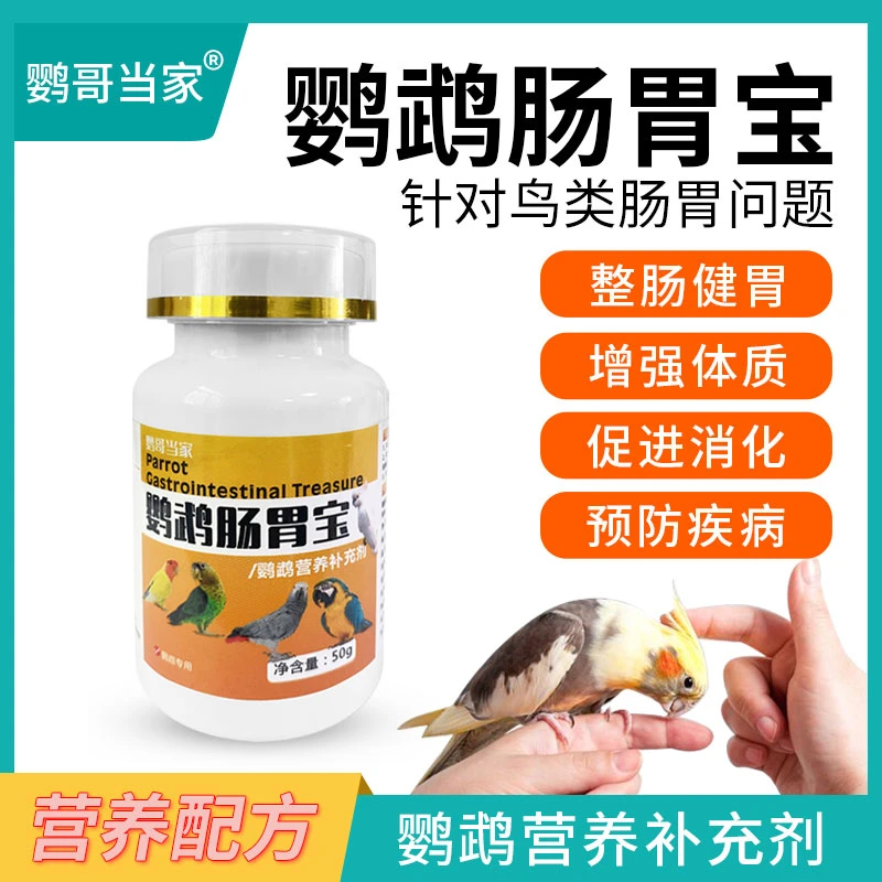 鹦哥当家-鹦鹉用品肠胃宝鸟类鹦鹉拉稀专用整肠健胃消食