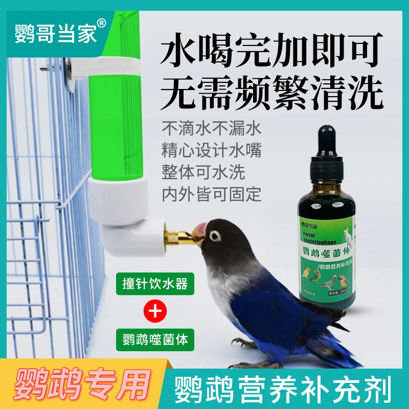 鹦哥当家-鸟类鹦鹉通用撞针饮水器日常通用饮水器噬菌体组合套装