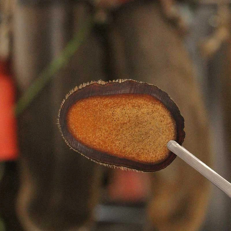 关东大掌柜二刀鹿茸半腊片