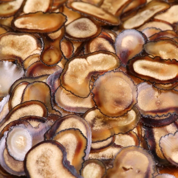 关东大掌柜鹿茸半蜡片