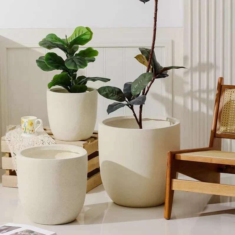 盆可种好发分开发室内院子大号楼顶阳台庭院客厅简单观叶春雨花卉