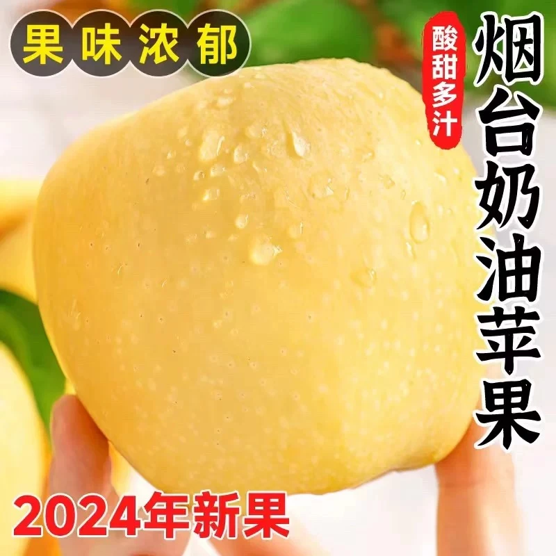 正宗黄金奶油富士苹果山东烟台冰糖心白色新鲜水果整箱当季奶牛5